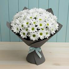 Букет цветов из:  Хризантемы в Новоромановском
