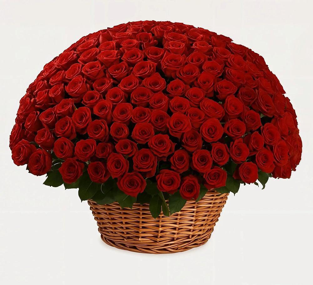 Премиум букет из: Розы в Новоромановском