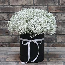 Цветочная композиция из Гипсофила в шляпной коробке #REPLACE_PRED# Новоромановском