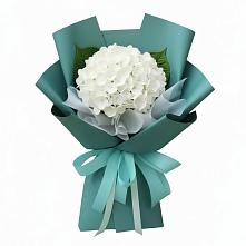 Букет цветов из:  Гортензия в Новоромановском